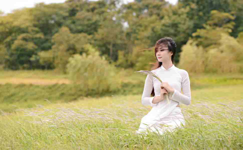 完美世界排行榜